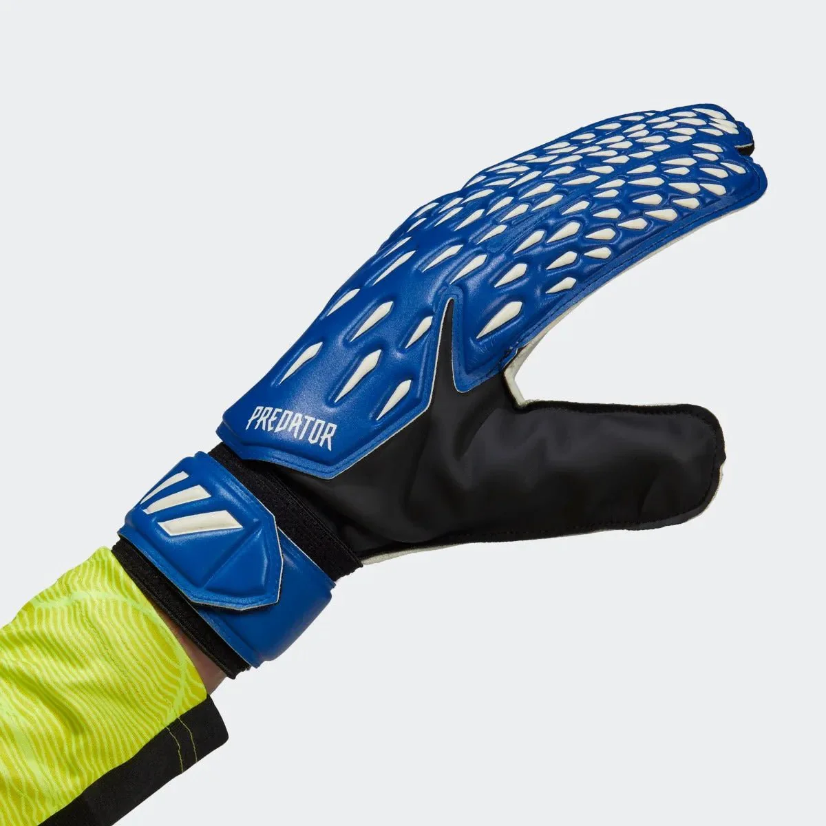 Adidas Predator Training Goalkeeper Gloves - Royal-White - Image 3