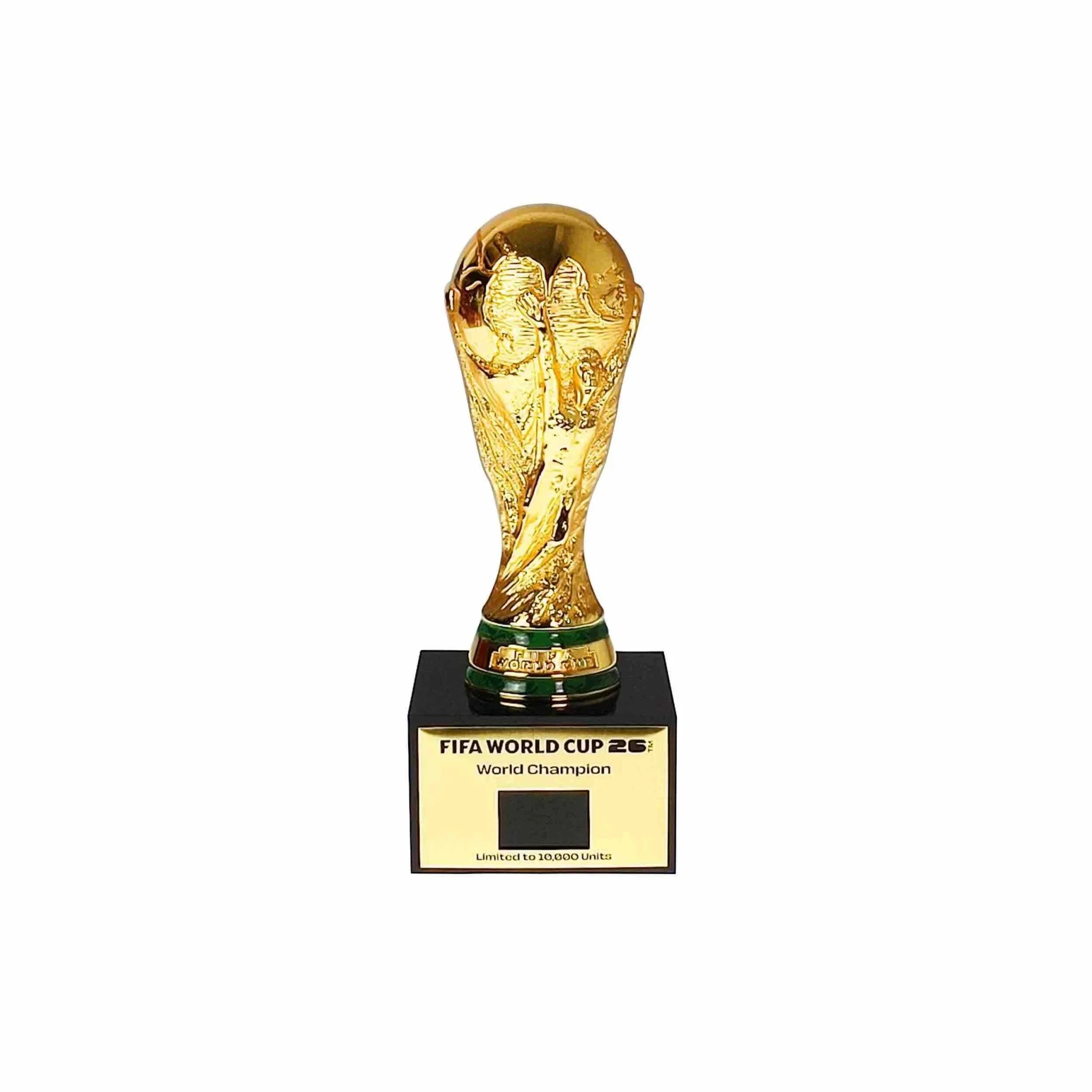 FIFA World Champion 3D Trophy Replica DIY Champion Flag - Image 3
