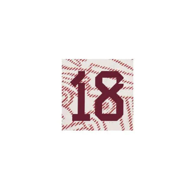 Mexico 2022/23 Away A. Guardado #18 Jersey Name Set - Image 2