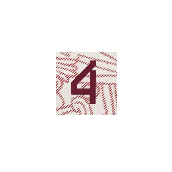 Mexico 2022/23 Away E. Alvarez #4 Jersey Name Set - Image 2