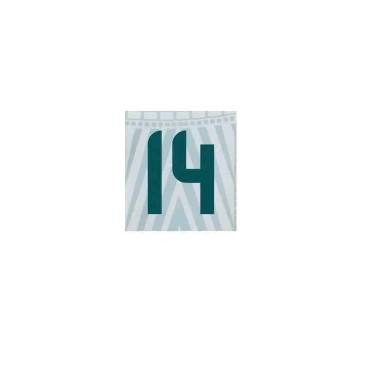 Mexico 2024/25 Away Chicharito #14 Jersey Name Set - Image 2