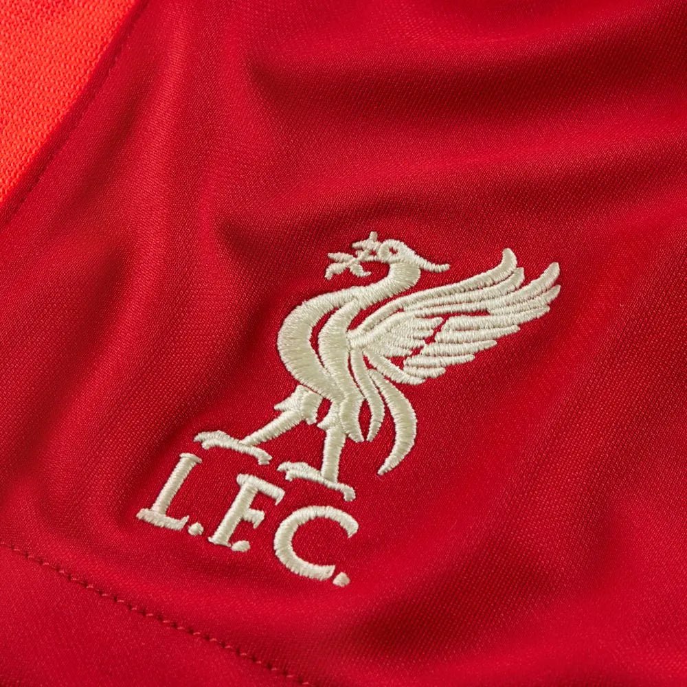 Nike 2021-22 Liverpool Dry-Fit Home Stadium Shorts - Gym Red-Crimson - Image 3