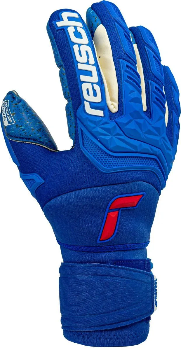 Reusch Attrakt Freegel Fusion Ortho-Tec Gladiator GK Gloves - Royal-White - Image 2