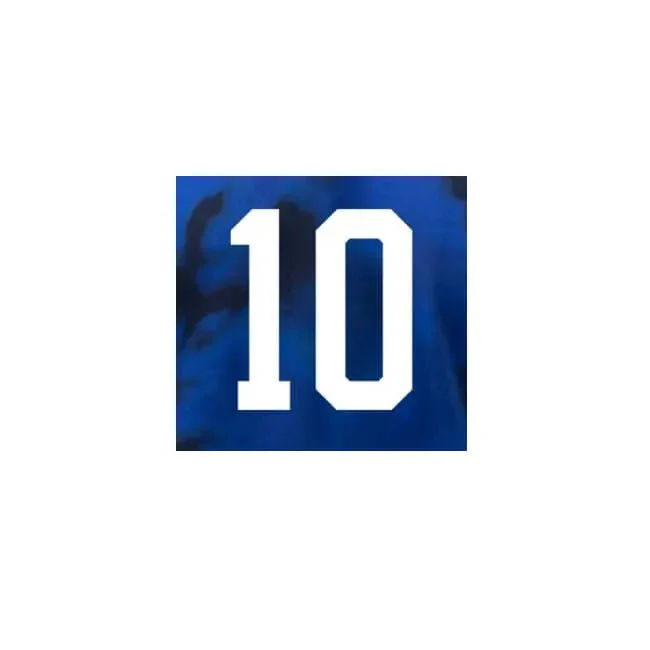 USMNT 2022-24 Away Pulisic #10 Jersey Name Set - Image 2
