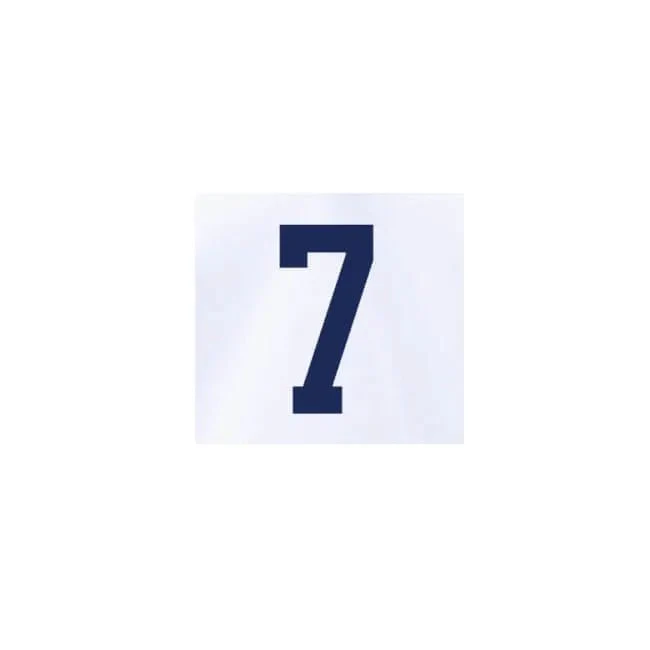 USA 2022-23 Home Reyna #7 Jersey Name Set - Image 2
