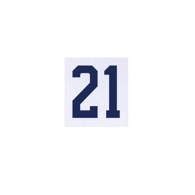 USMNT 2024/25 Home Weah #21 Jersey Name Set - Image 2